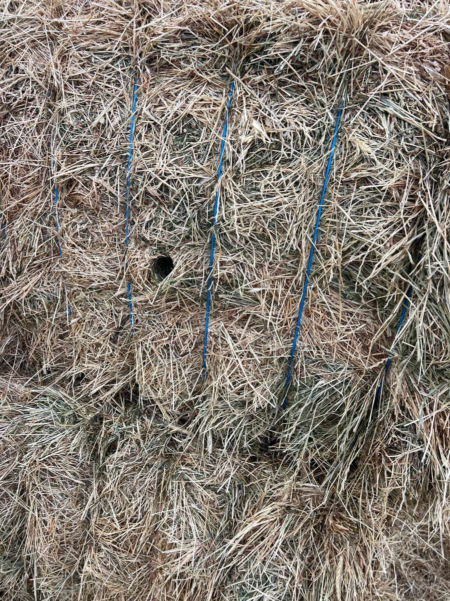 Batch 4990788000201316023 Image