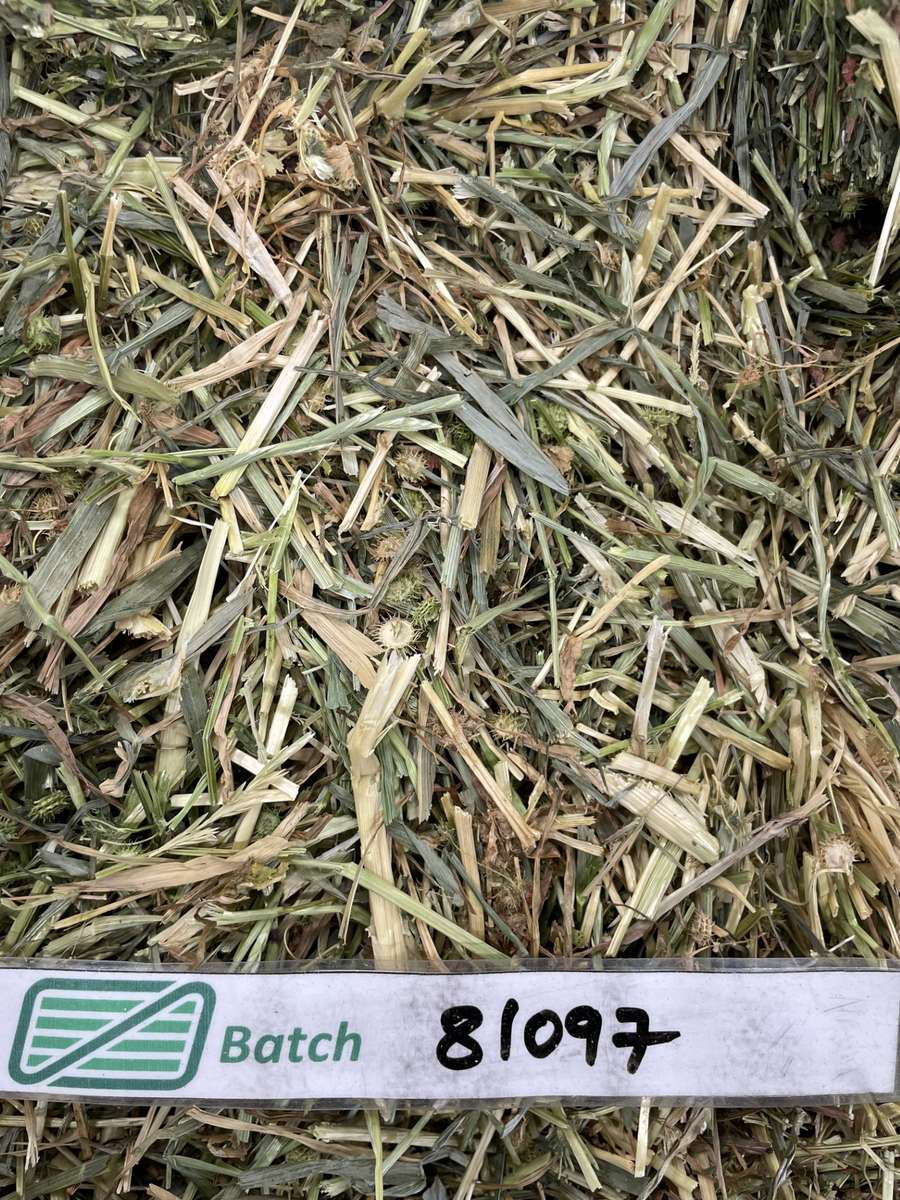 Batch 4990788000201316023 Image