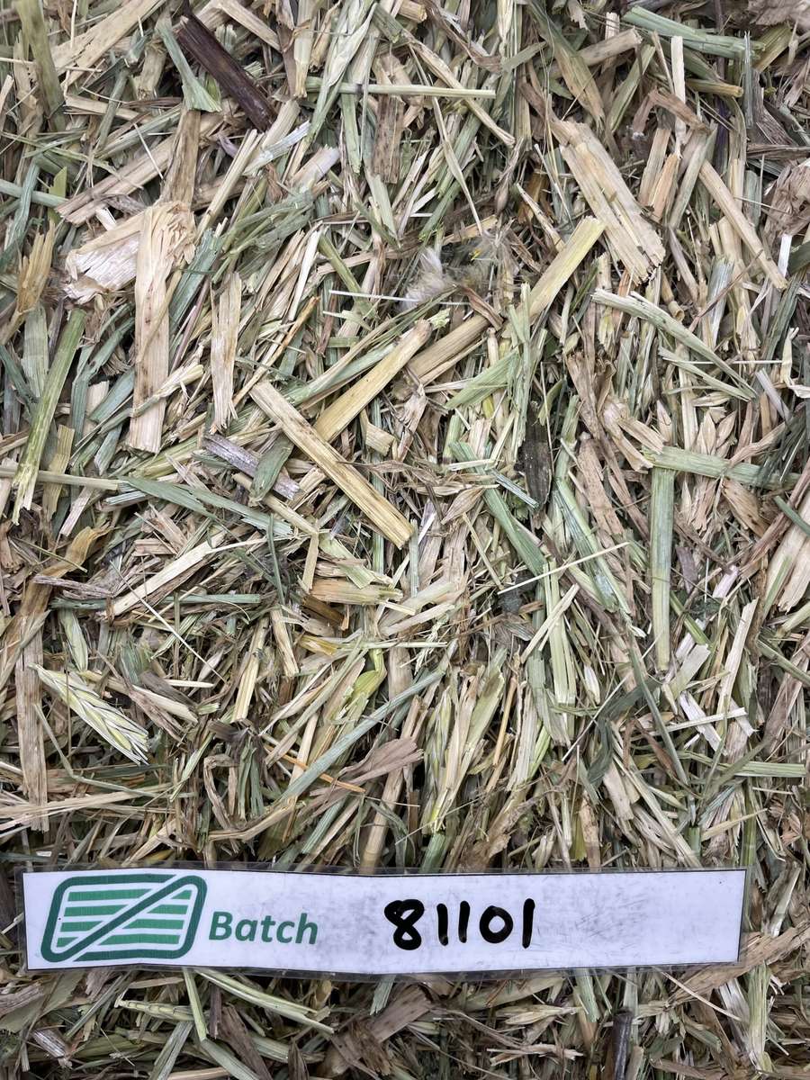 Batch 4990788000201300091 Image