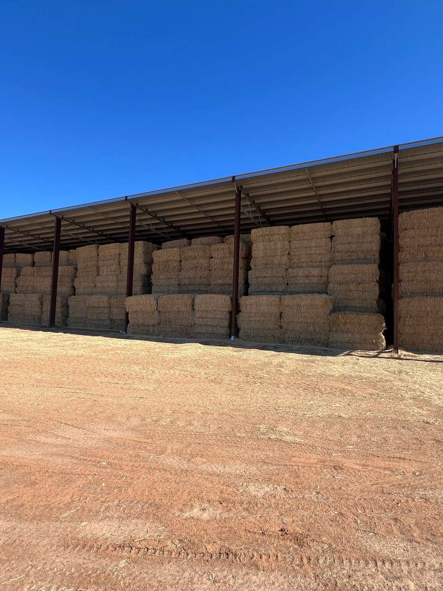 Batch 4990788000201300091 Image