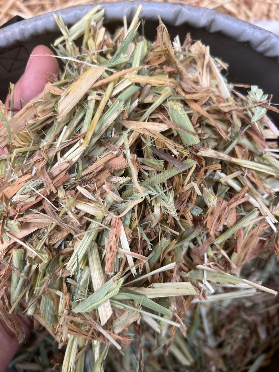 Batch 4990788000201163030 Image