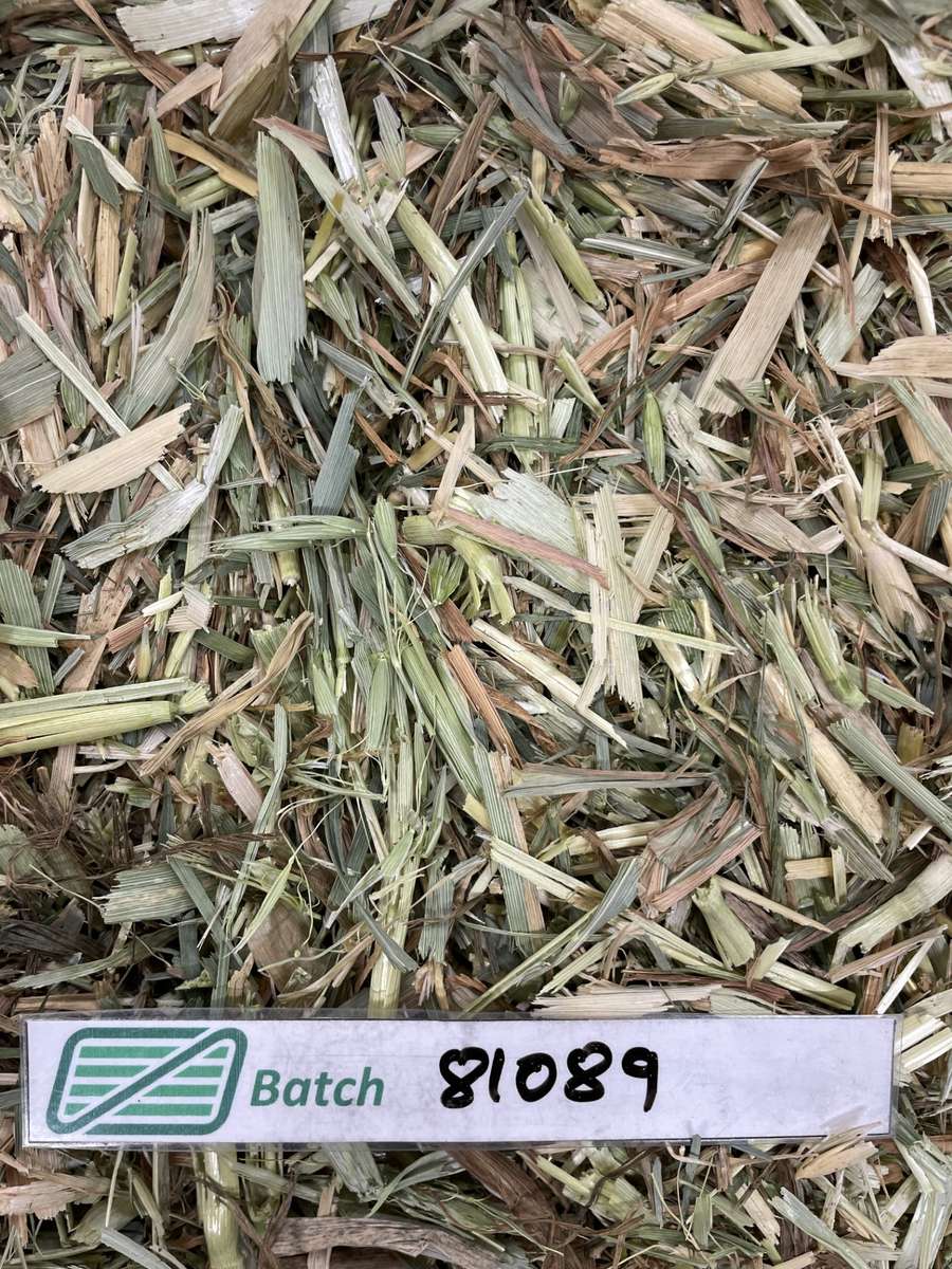 Batch 4990788000201162028 Image