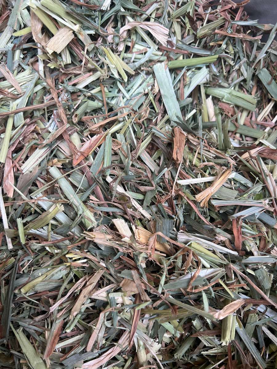 Batch 4990788000201162028 Image