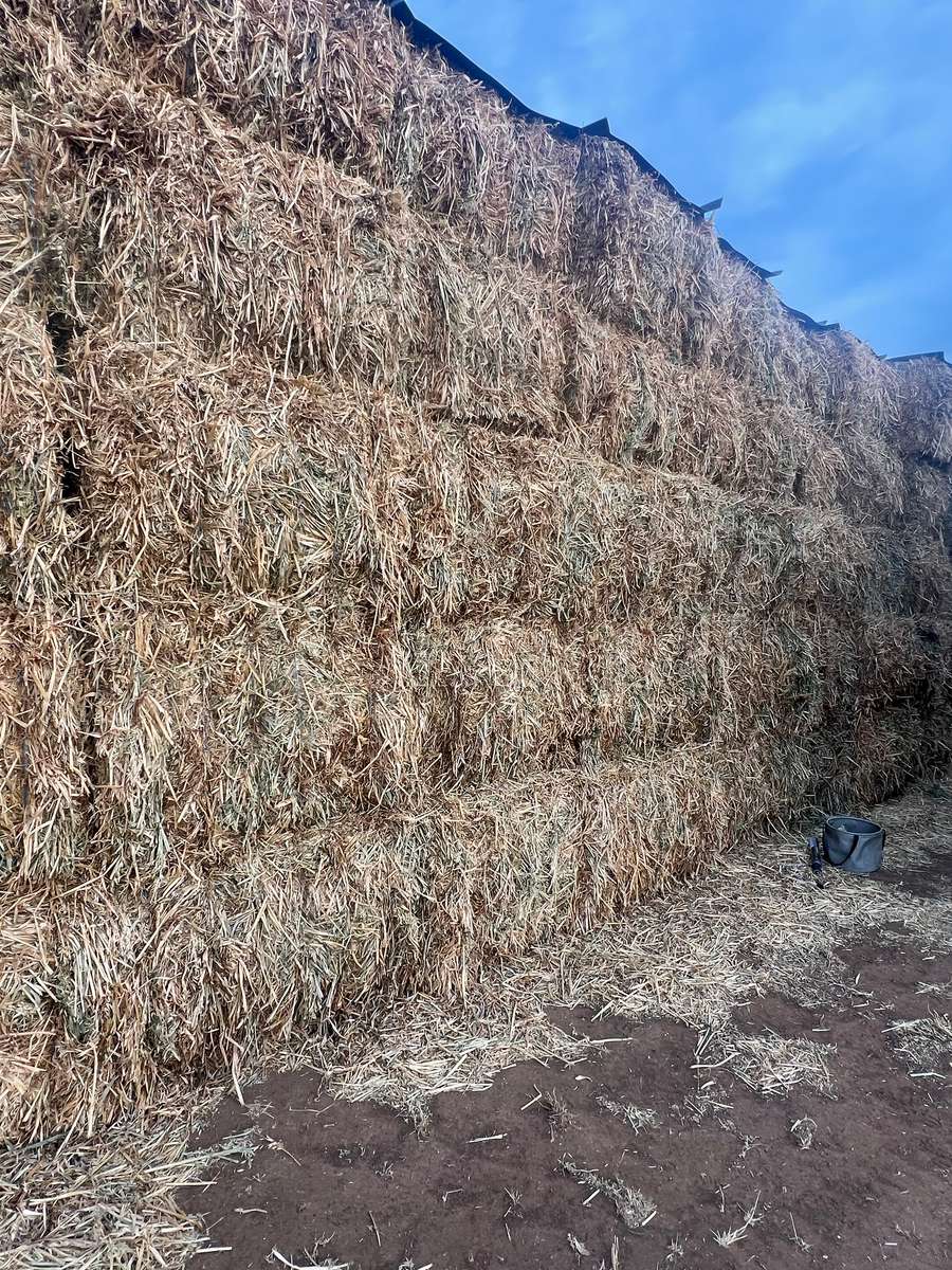 Batch 4990788000201162028 Image