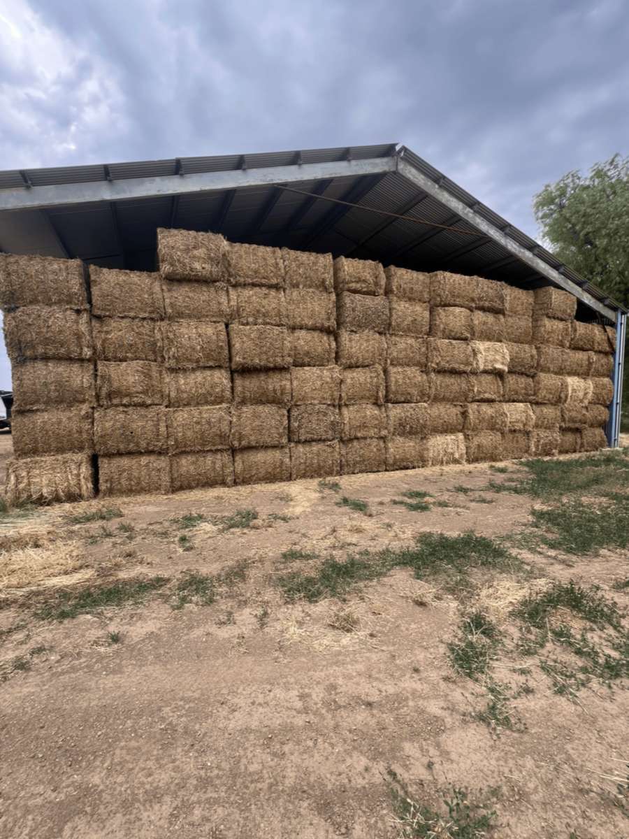 Batch 4990788000201161048 Image