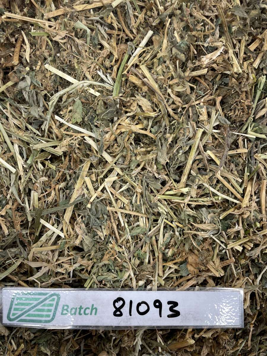 Batch 4990788000201161048 Image