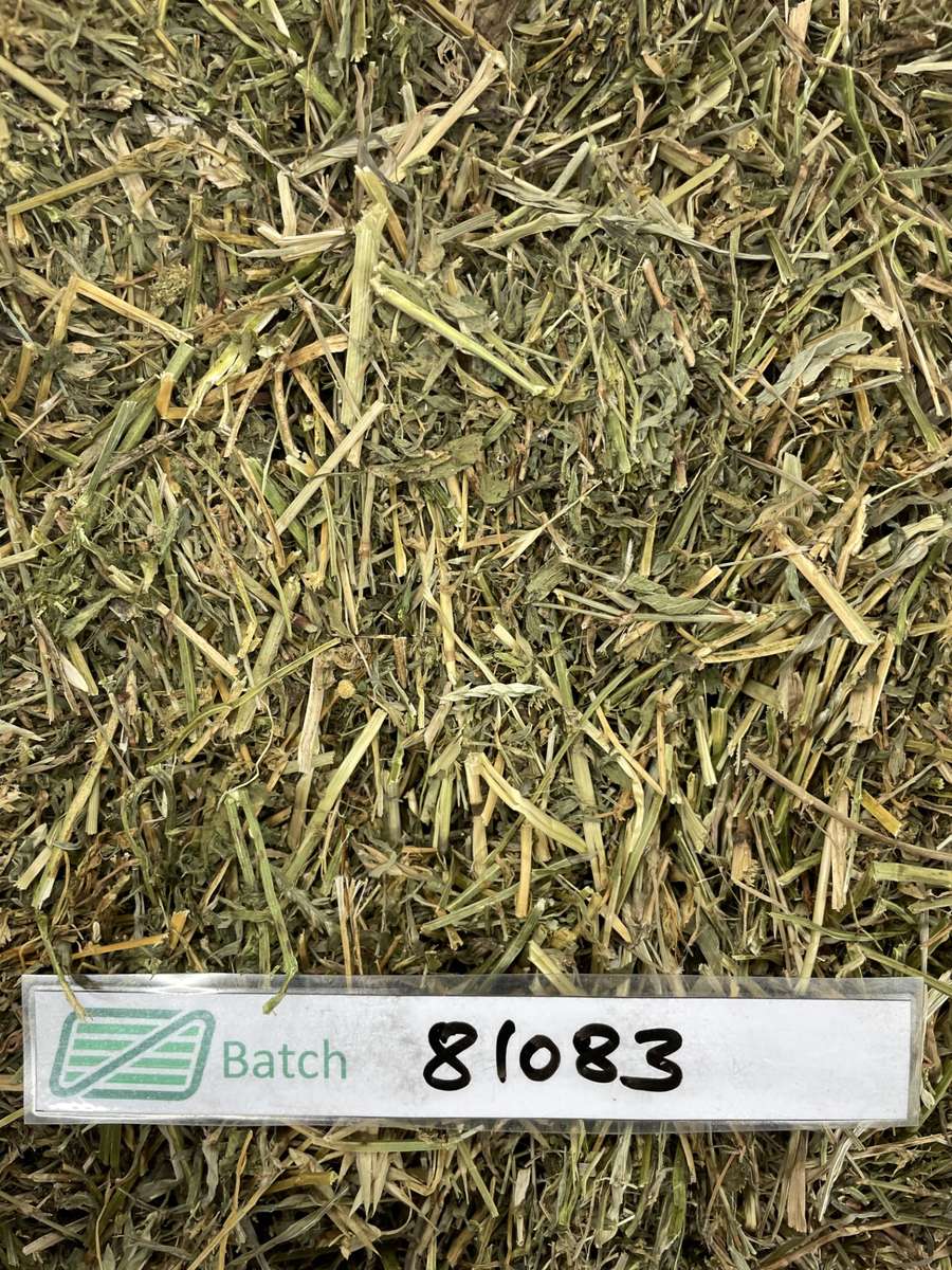 Batch 4990788000200922186 Image