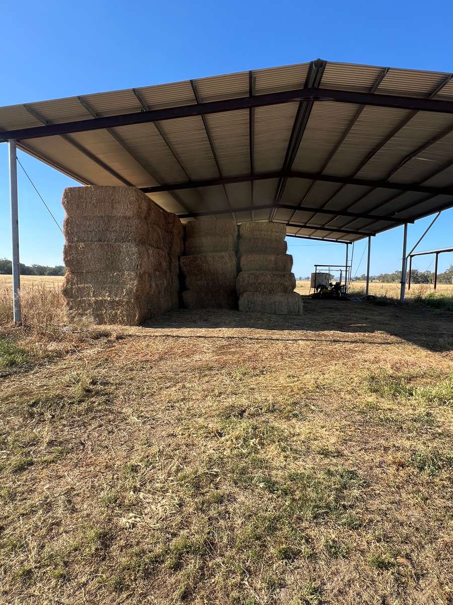 Batch 4990788000200922186 Image