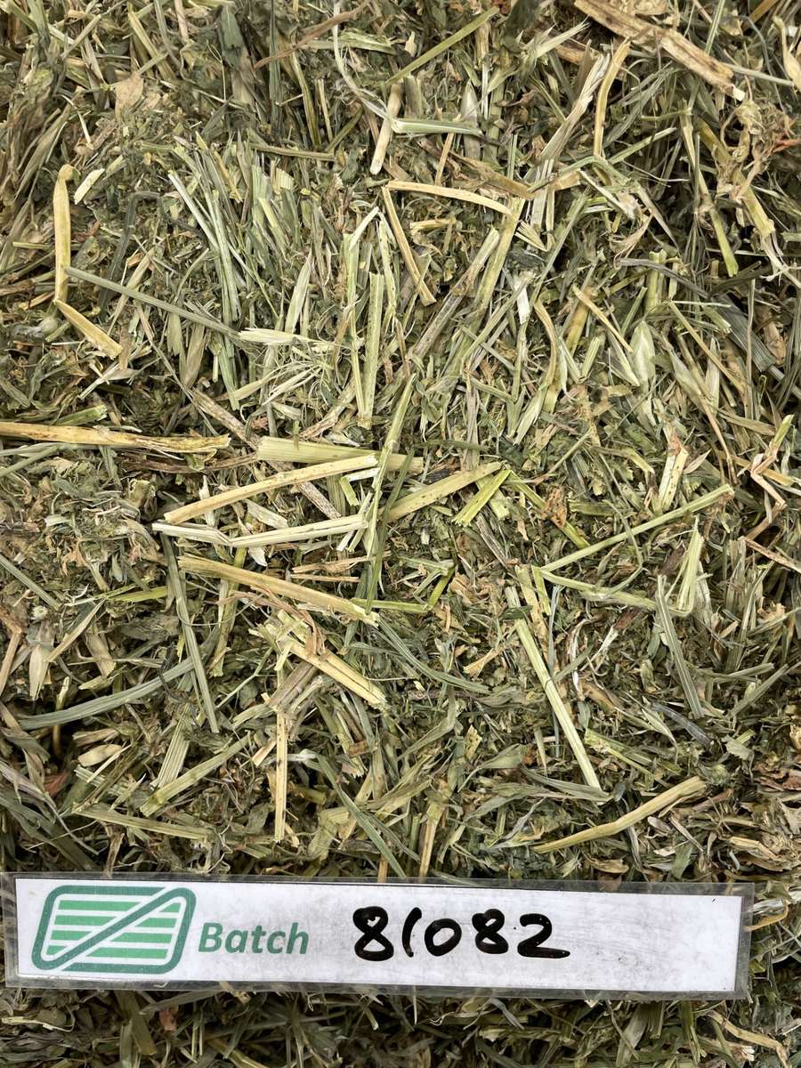 Batch 4990788000200909160 Image