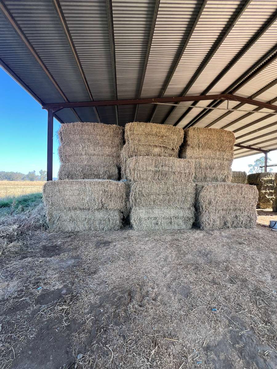 Batch 4990788000200909160 Image