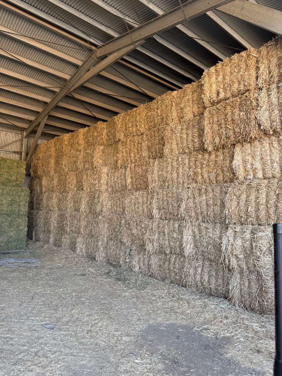 Batch 4990788000200112118 Image