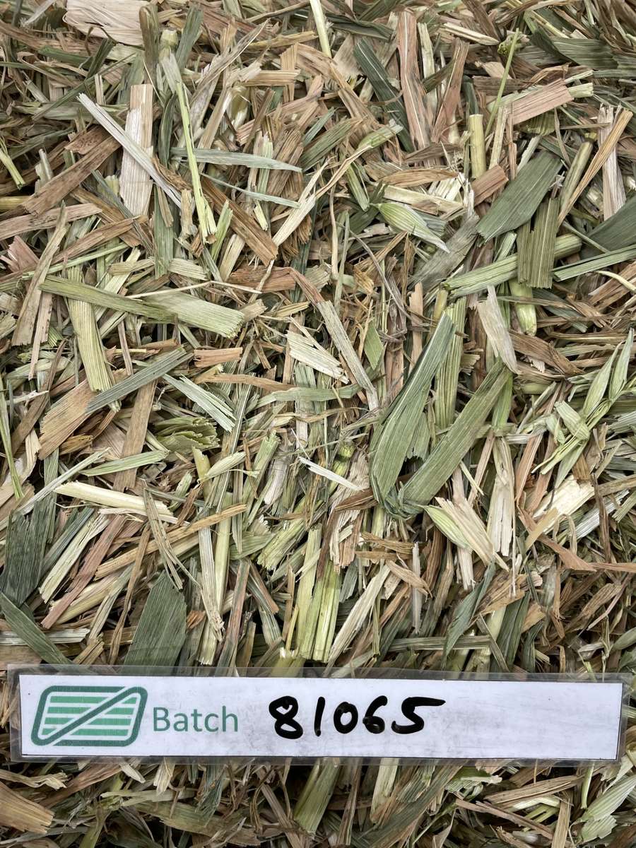 Batch 4990788000200112118 Image