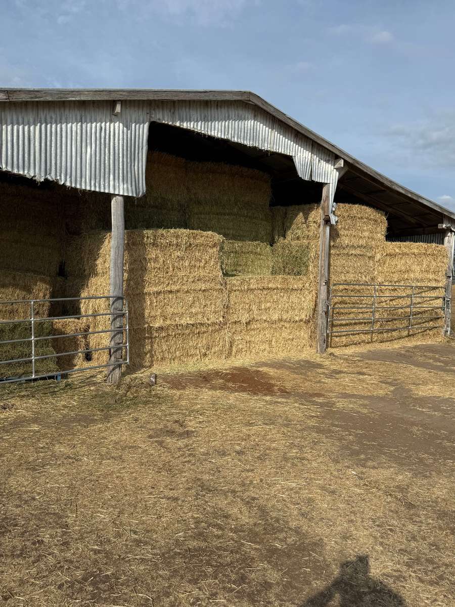 Batch 4990788000200095135 Image