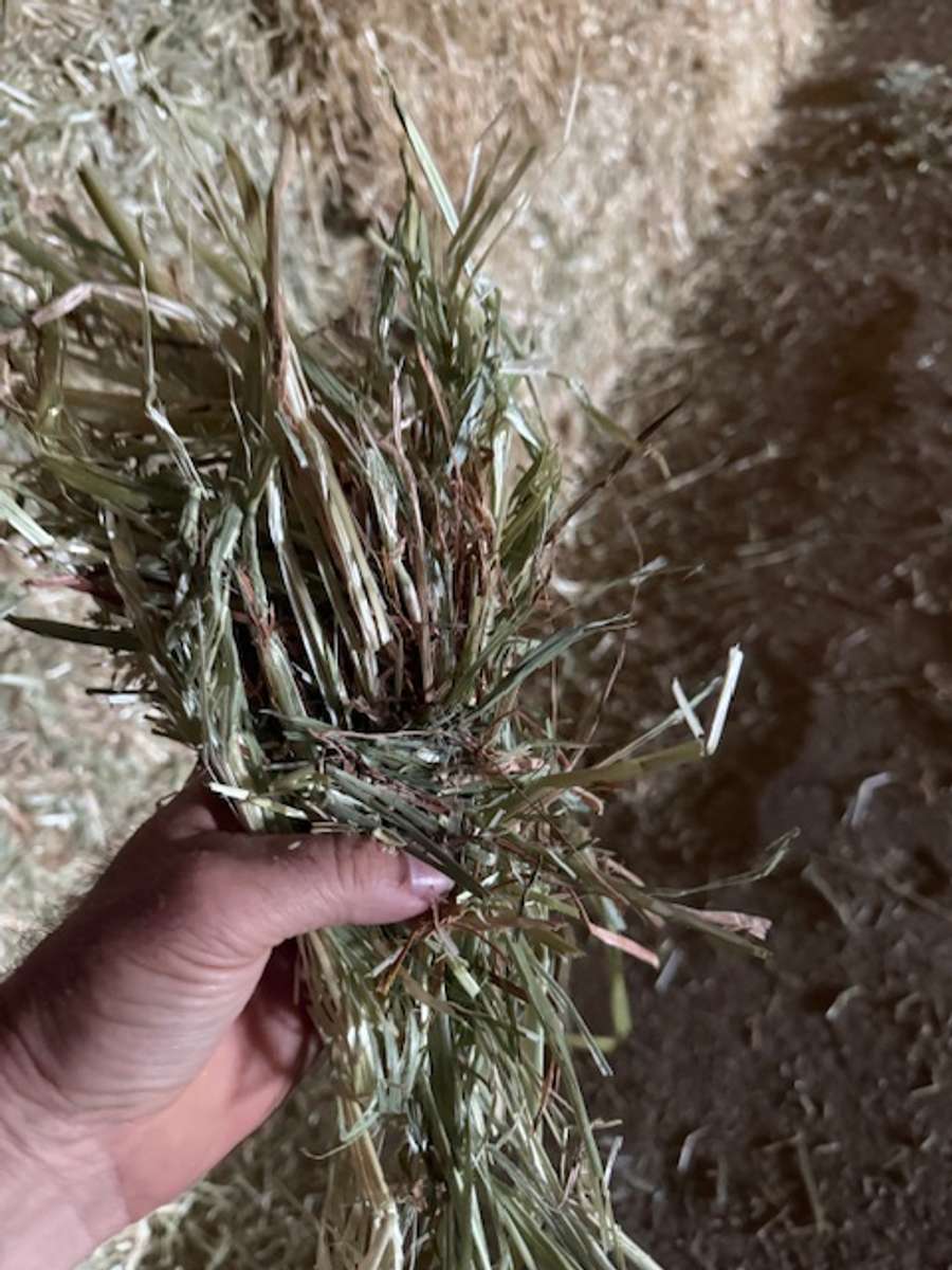 Batch 4990788000199949050 Image