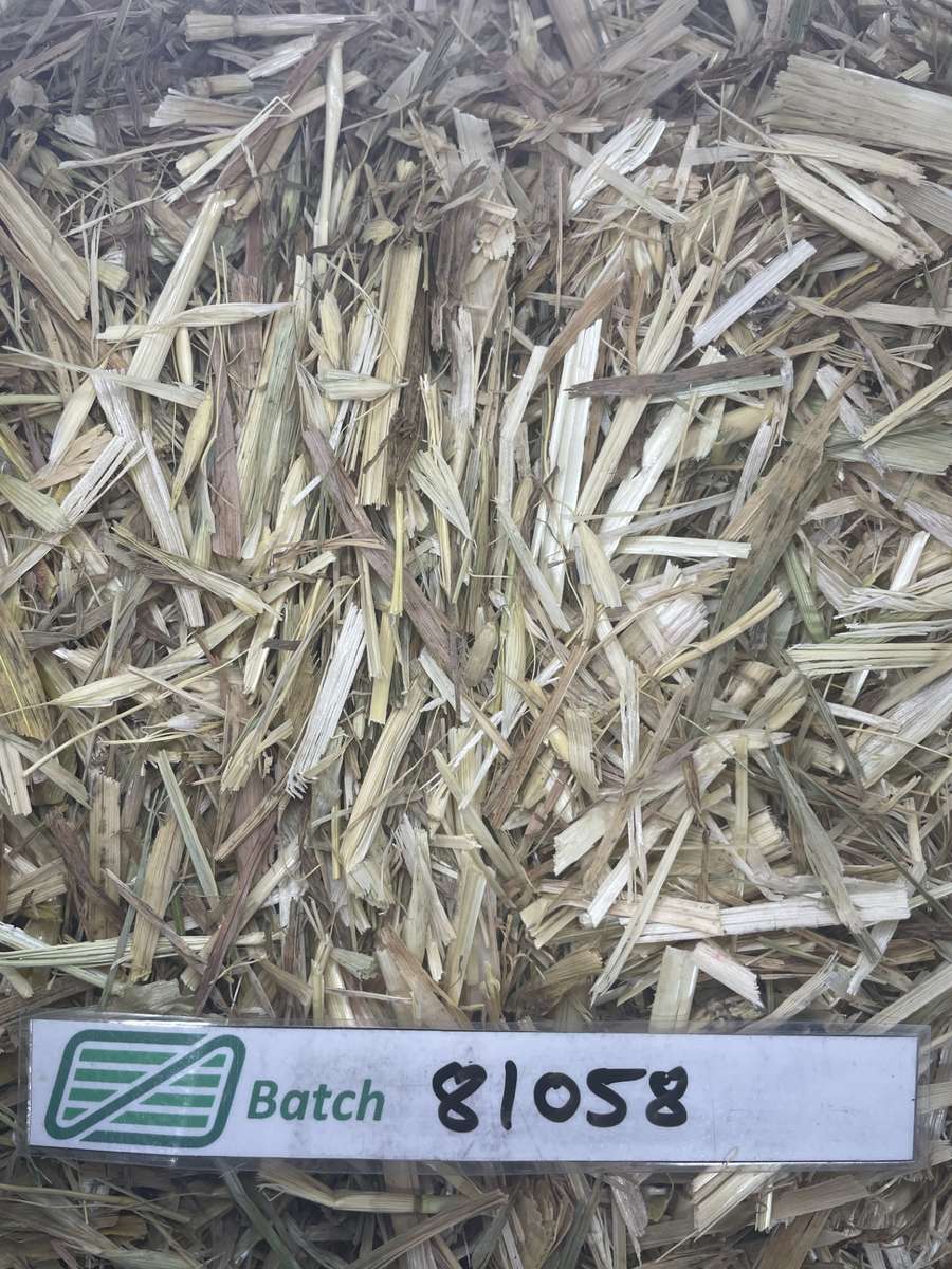 Batch 4990788000199727060 Image