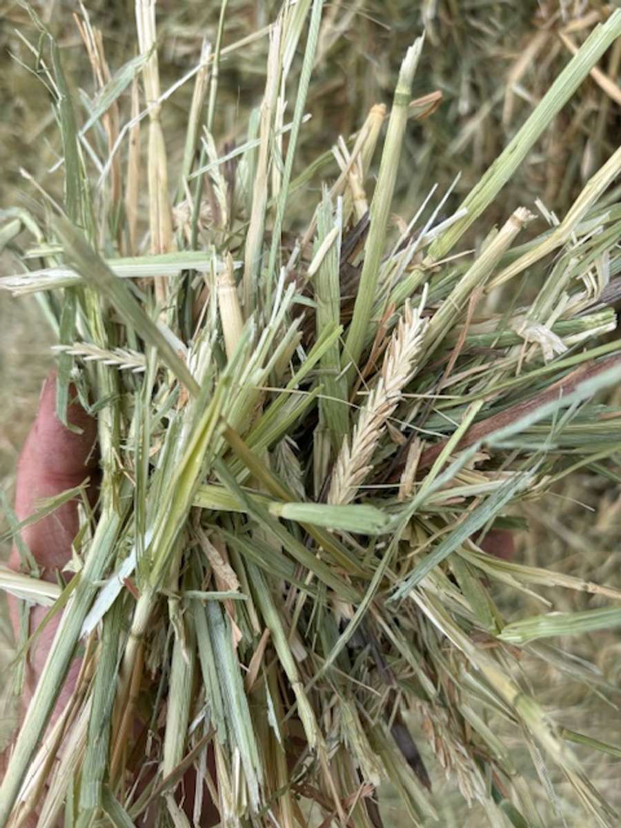 Batch 4990788000199721053 Image