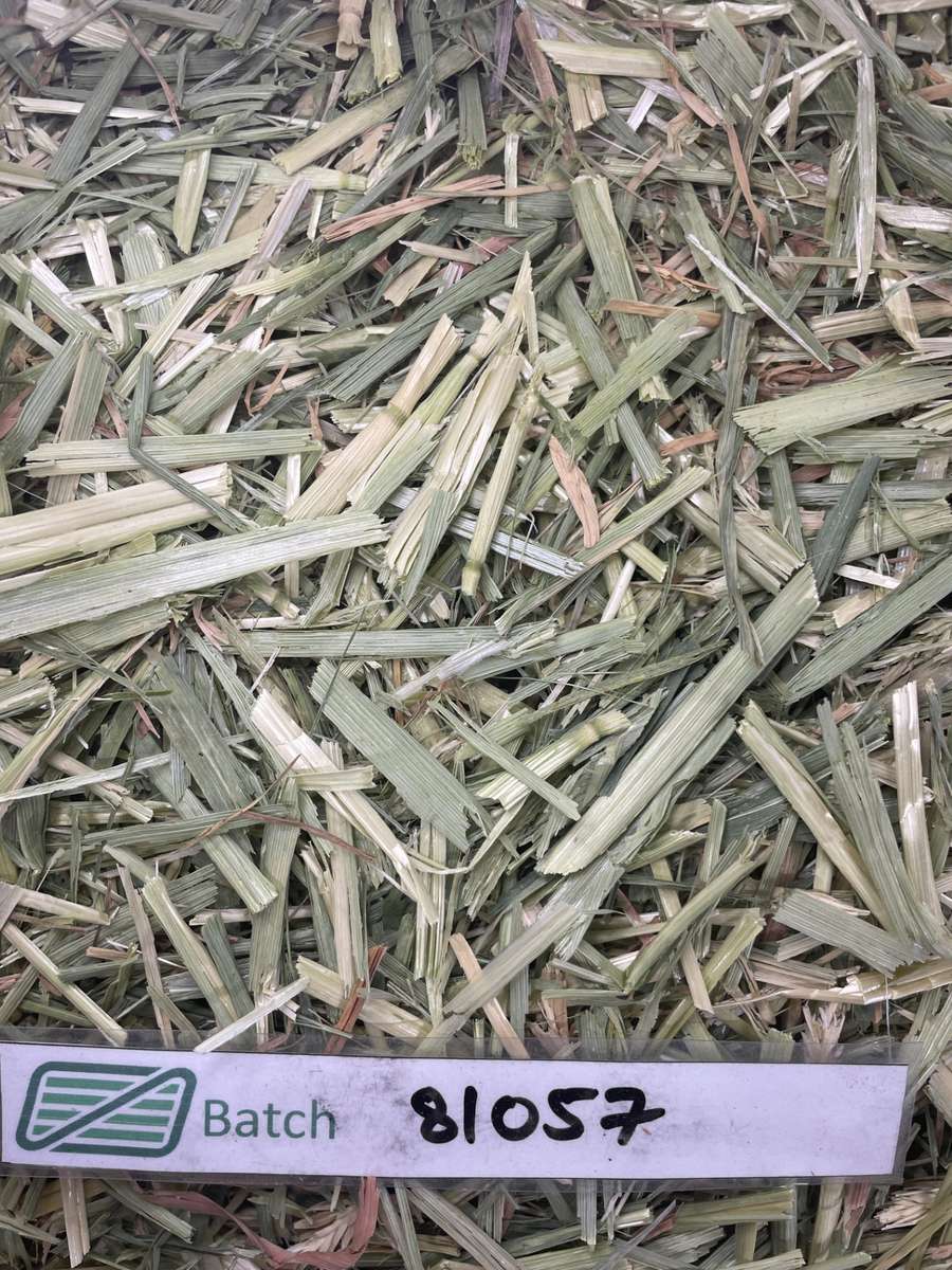 Batch 4990788000199721053 Image