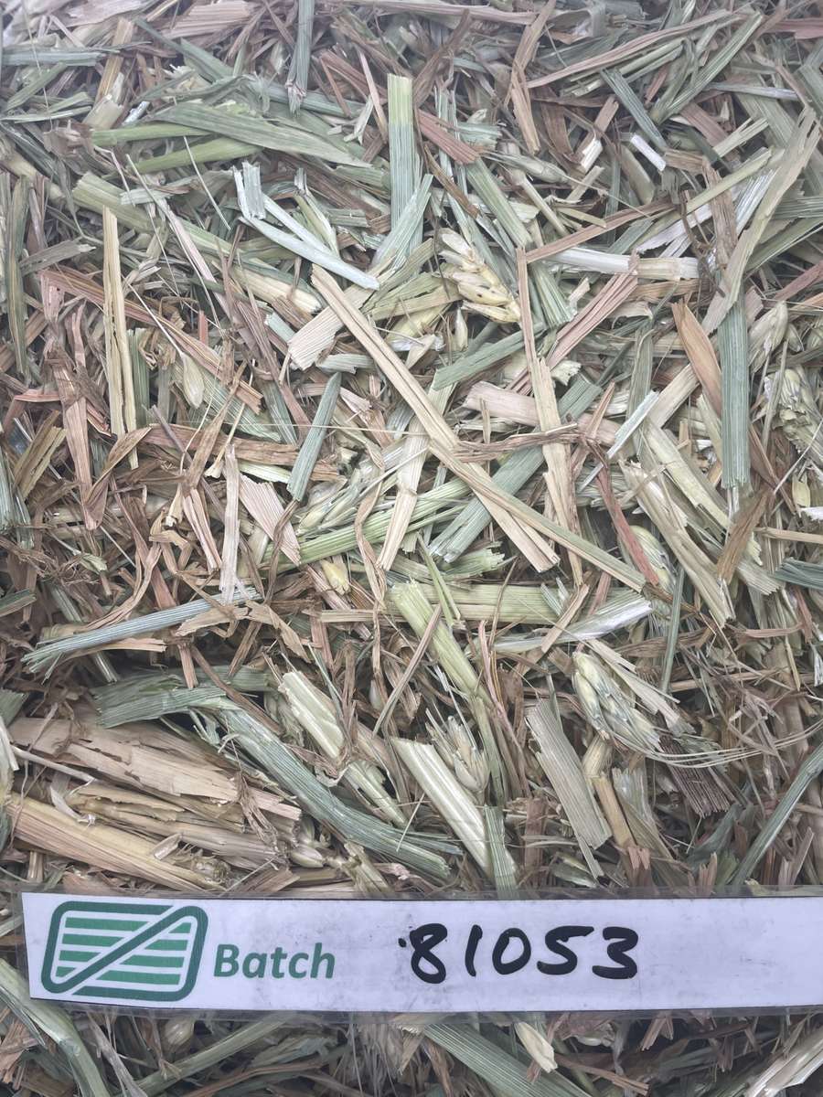 Batch 4990788000199548036 Image