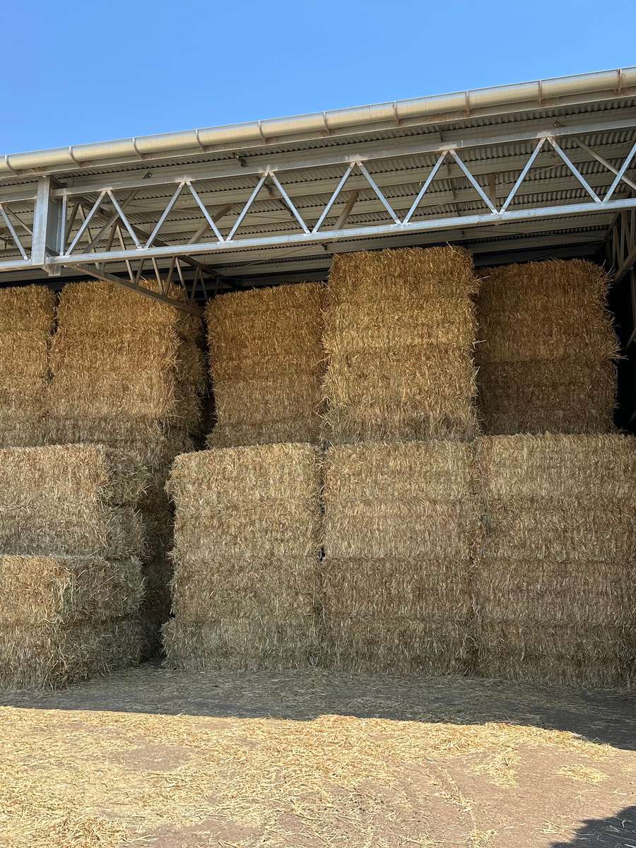 Batch 4990788000199548036 Image