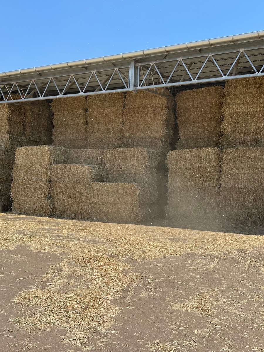 Batch 4990788000199538040 Image