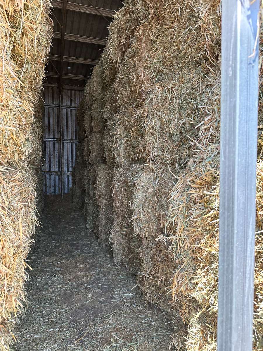 Batch 4990788000199488042 Image