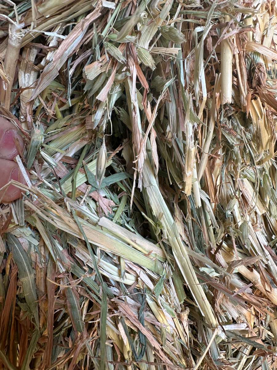 Batch 4990788000199488042 Image