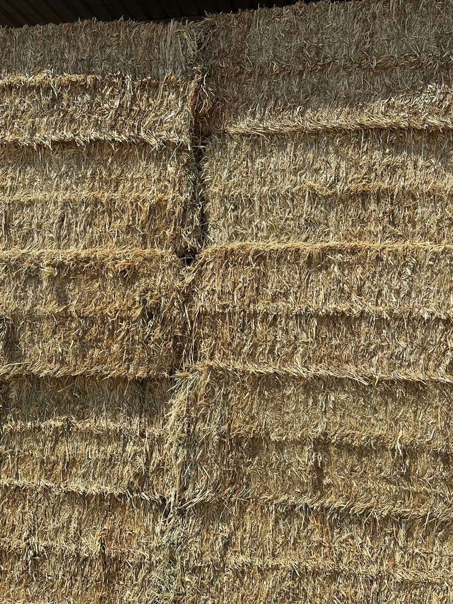 Batch 4990788000199488042 Image