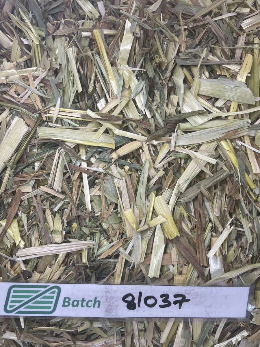 Batch 4990788000199034148 Image