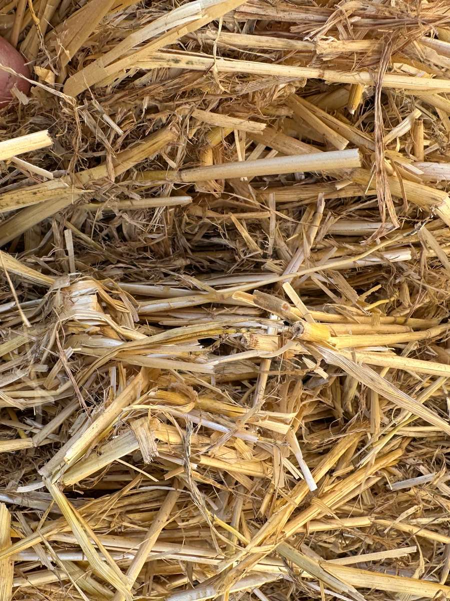 Batch 4990788000203598602 Image