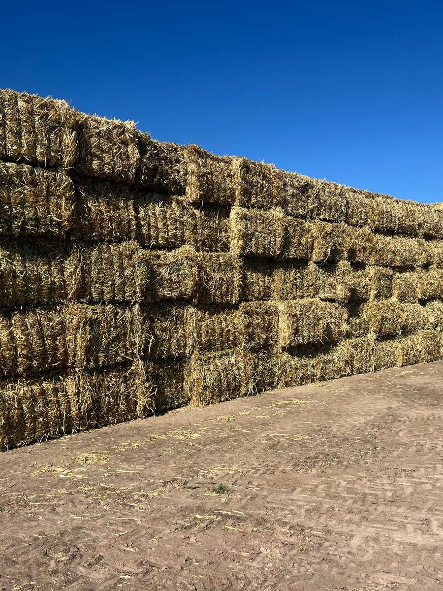 Batch 4990788000199034148 Image