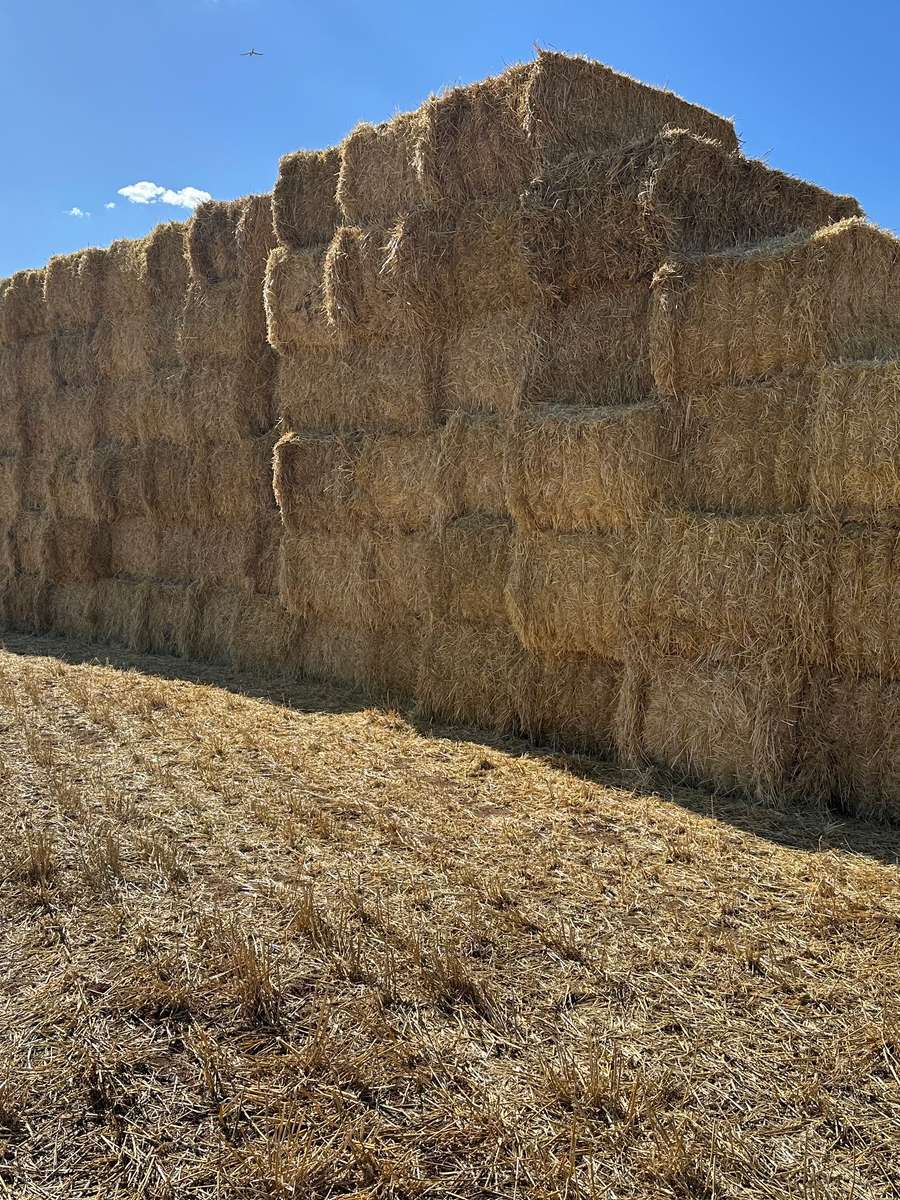 Batch 4990788000203598602 Image