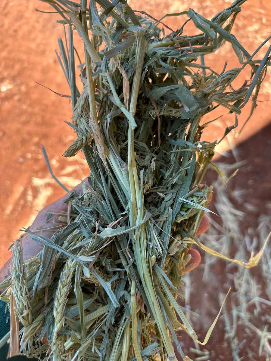 Batch 4990788000198582137 Image