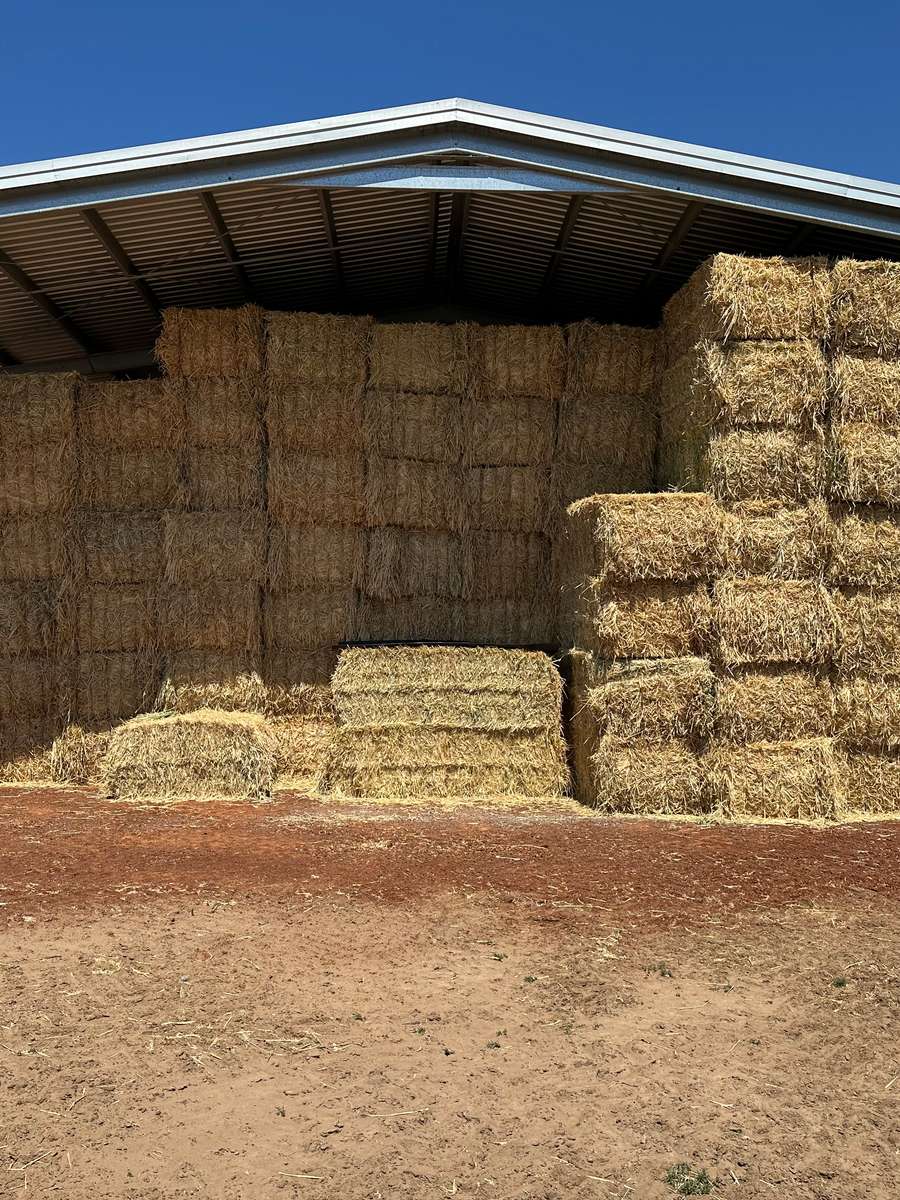 Batch 4990788000198582137 Image