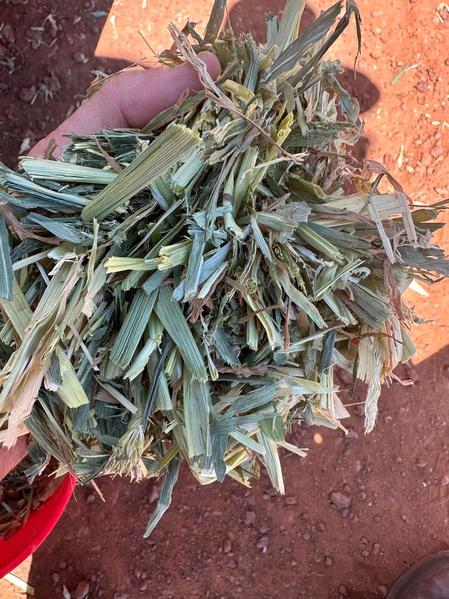 Batch 4990788000198582137 Image