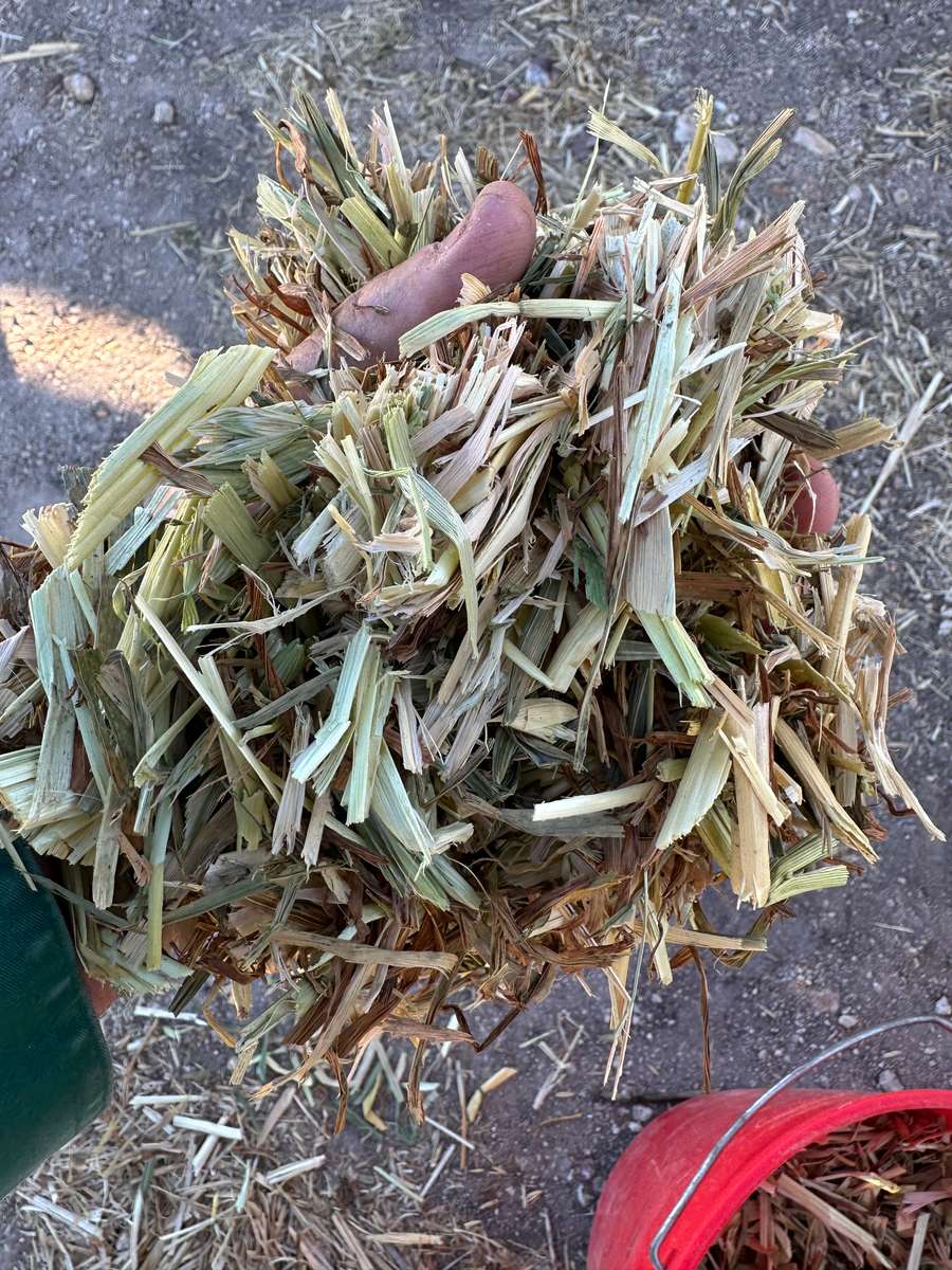 Batch 4990788000198025036 Image