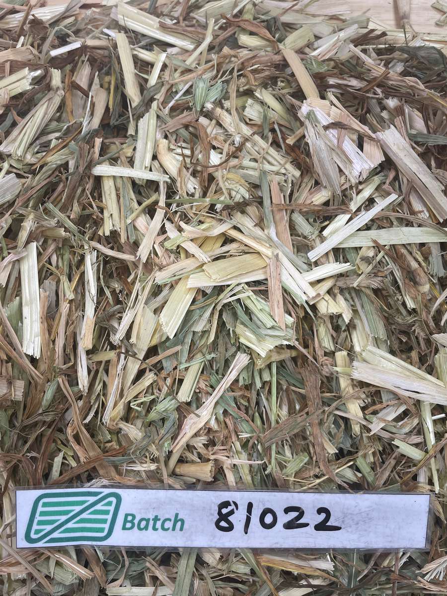 Batch 4990788000198025036 Image