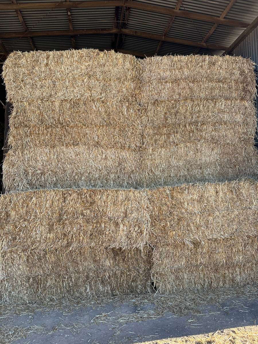 Batch 4990788000198025036 Image