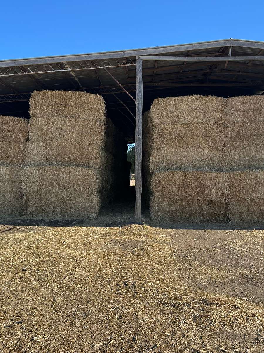 Batch 4990788000198025036 Image