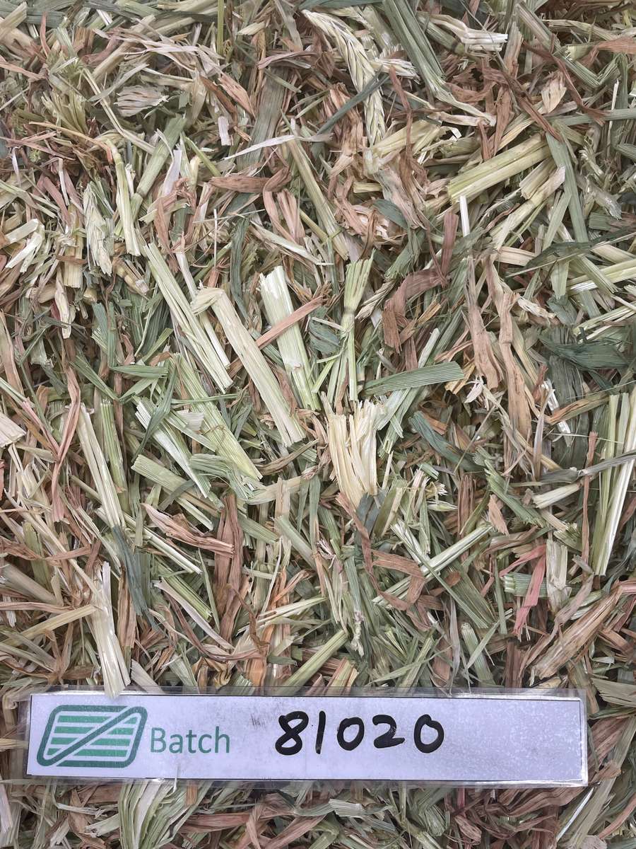 Batch 4990788000198075047 Image