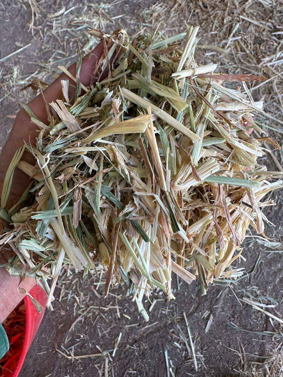 Batch 4990788000197982150 Image