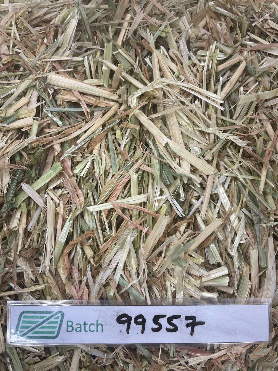 Batch 4990788000197982150 Image