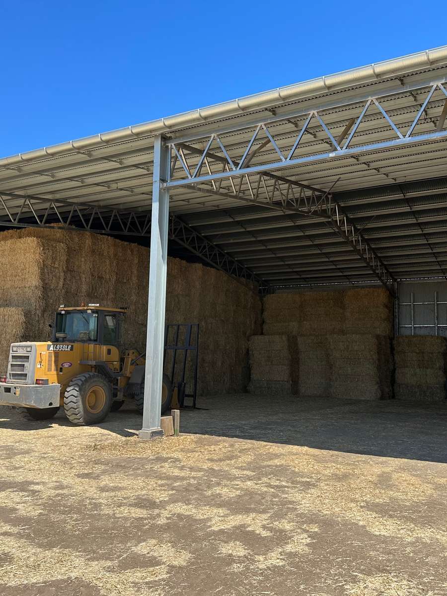 Batch 4990788000197982150 Image