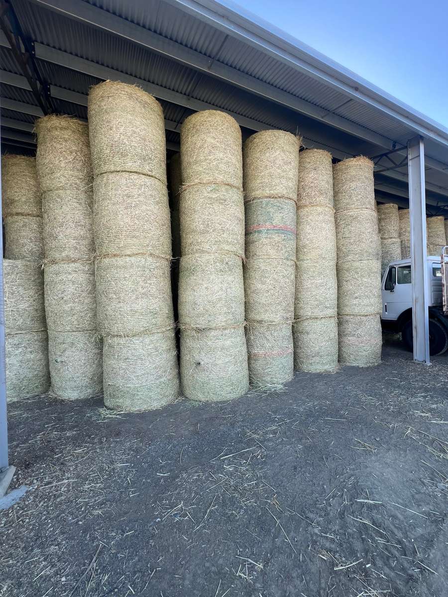 Batch 4990788000197448088 Image