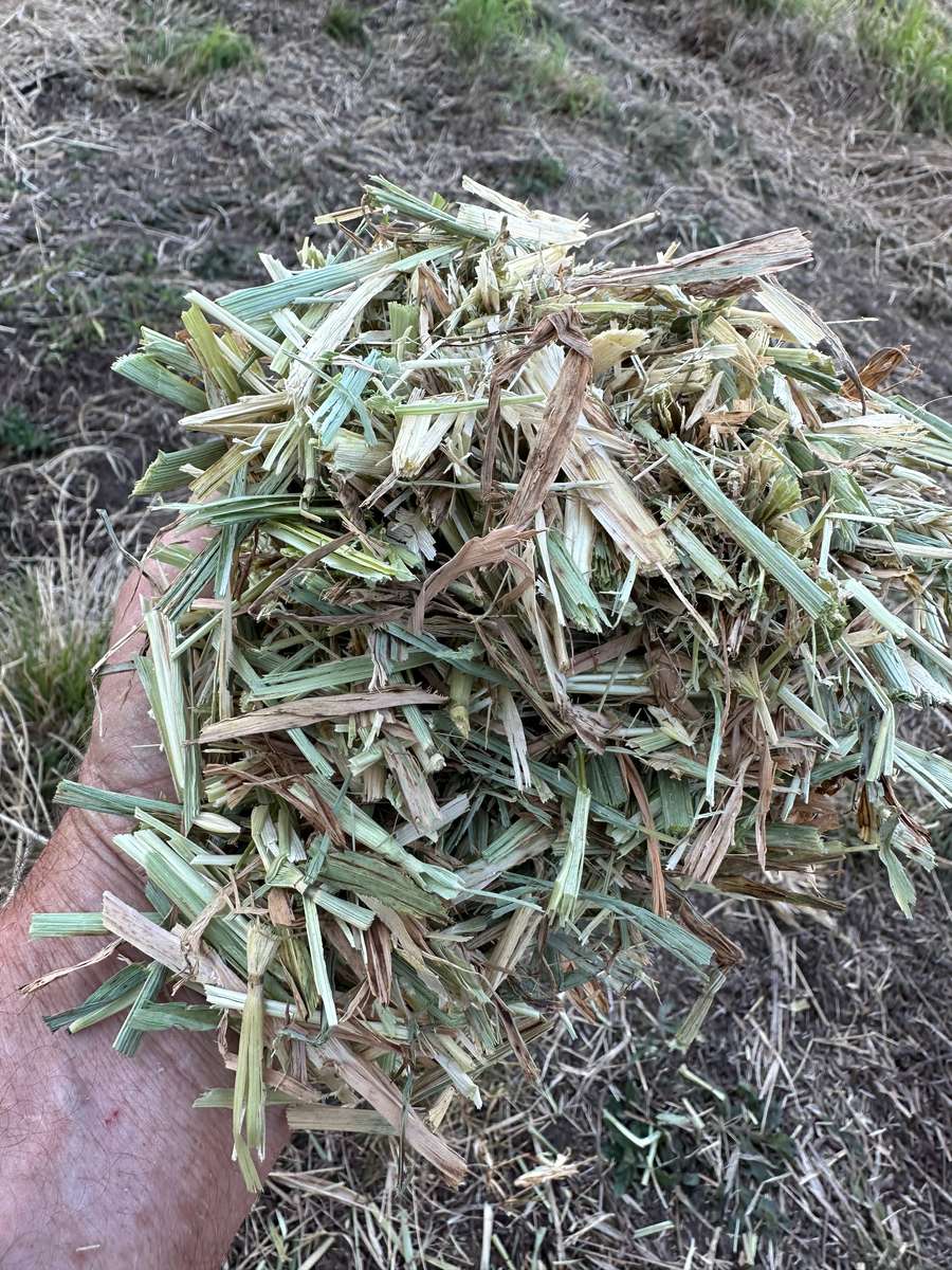 Batch 4990788000196630358 Image