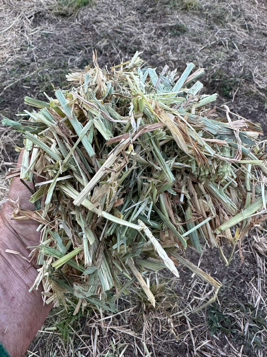 Batch 4990788000196630358 Image