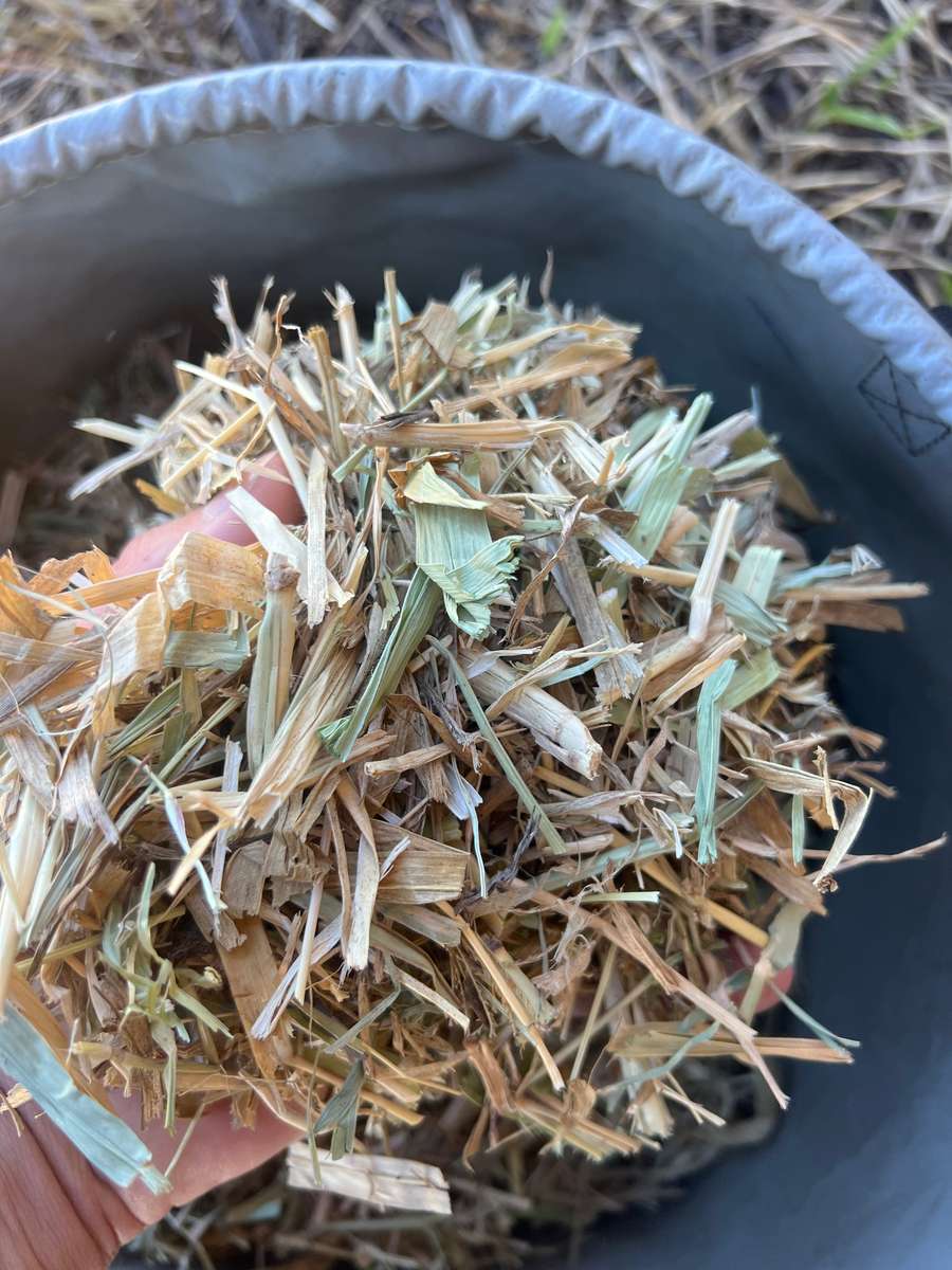 Batch 4990788000189103082 Image