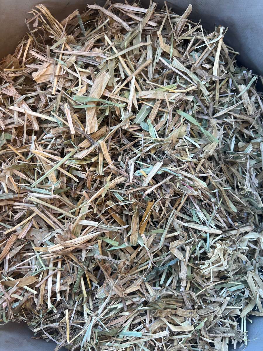 Batch 4990788000189103082 Image