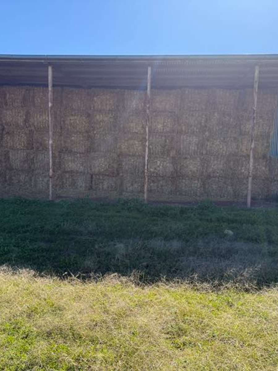 Batch 4990788000184327068 Image