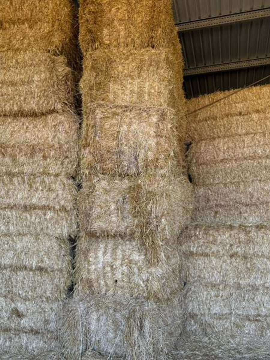 Batch 4990788000184326128 Image