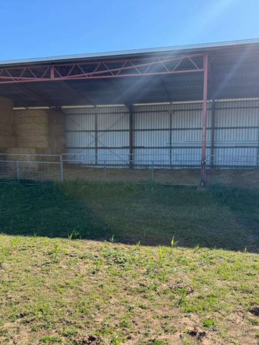 Batch 4990788000184326128 Image